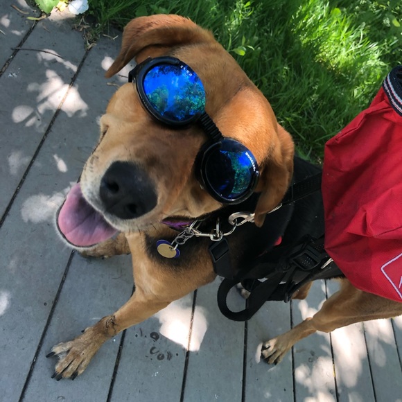 Meet your Posher, Jess - Picture 1 of 1